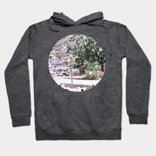 Winter Wonderland! Hoodie